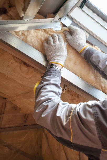 Professional Insulation Contractor in Santa Cruz, CA